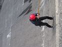 bild (31)